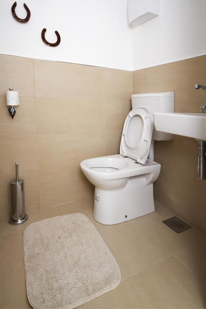 Apartments Mengore Tolmin Dış mekan fotoğraf